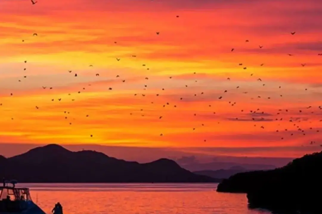 Kalong Island in Labuan Bajo and the Sunset Moment That Leaves Travelers Speechless