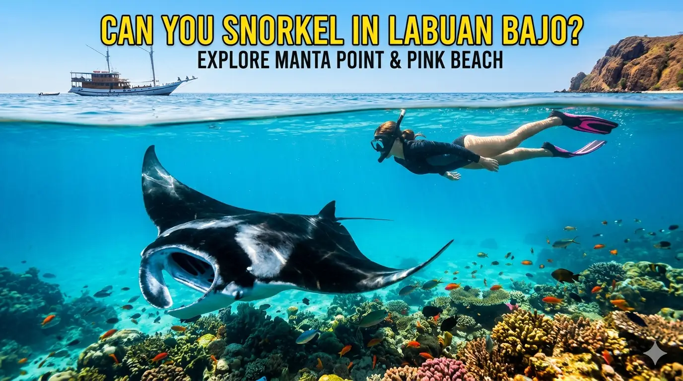 Can You Snorkel in Labuan Bajo with The Seven Seas